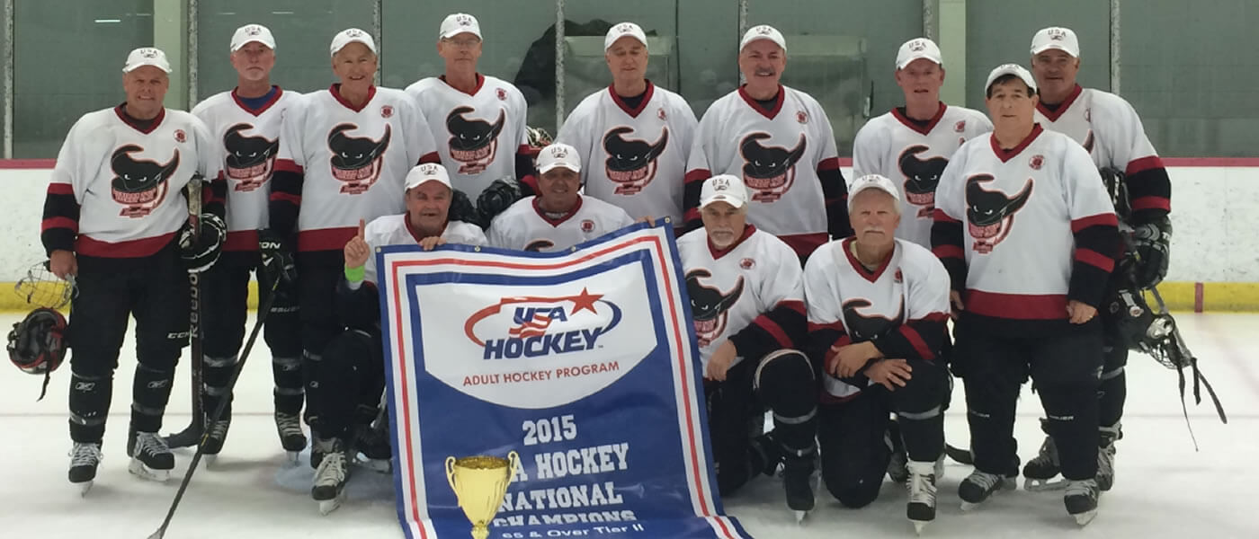 Michigan-Sting-Banner-2015
