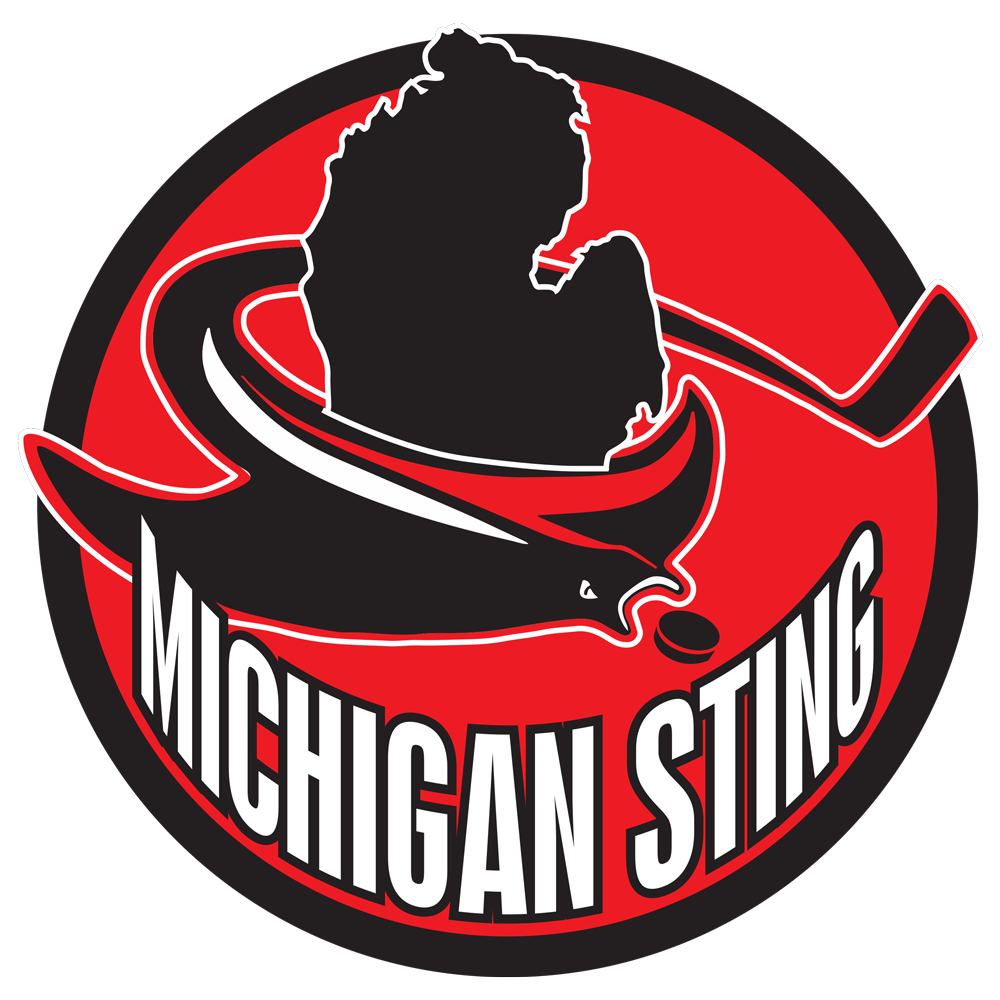 Sting Photos Michigan Sting Michigan s Elite Senior Men s Hockey Club